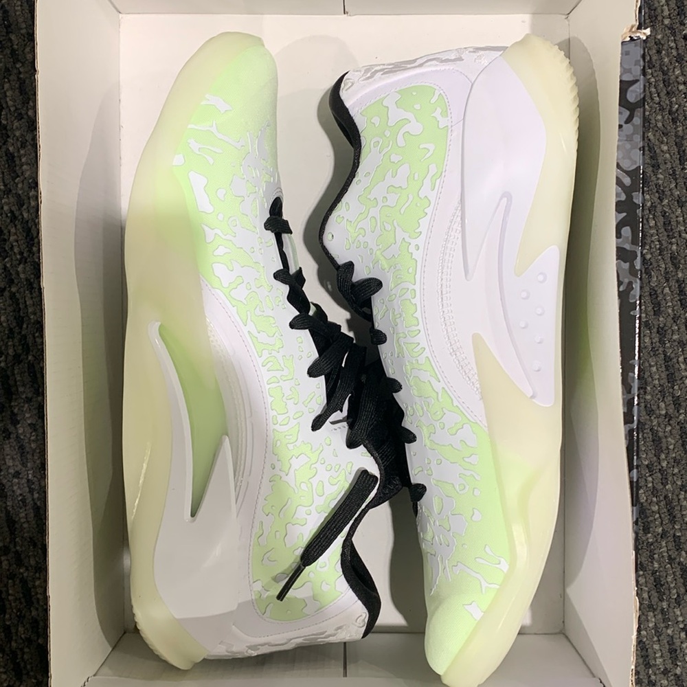 Jordan Zion 3